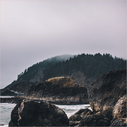 Viscera (ITA) : Fleshworld - Gazers - Viscera